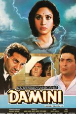 دانلود + تماشای آنلاین فیلم هندی Damini 1993 با زیرنویس فارسی چسبیده