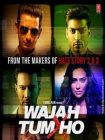 دانلود + تماشای آنلاین فیلم هندی Wajah Tum Ho 2016 با زیرنویس فارسی چسبیده