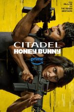 دانلود سریال هندی Citadel: Honey Bunny 2024 با زیرنویس فارسی