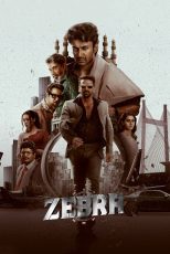 دانلود فیلم هندی Zebra 2024 با زیرنویس فارسی