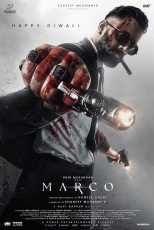 دانلود فیلم هندی Marco 2024 با زیرنویس فارسی