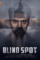 دانلود فیلم هندی Blind Spot 2025 با زیرنویس فارسی
