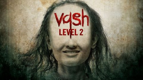 Vash Level 2 2025