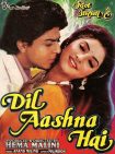 دانلود فیلم هندی Dil Aashna Hai 1992 با زیرنویس فارسی
