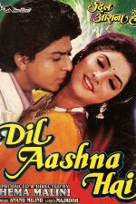 دانلود فیلم هندی Dil Aashna Hai 1992 با زیرنویس فارسی